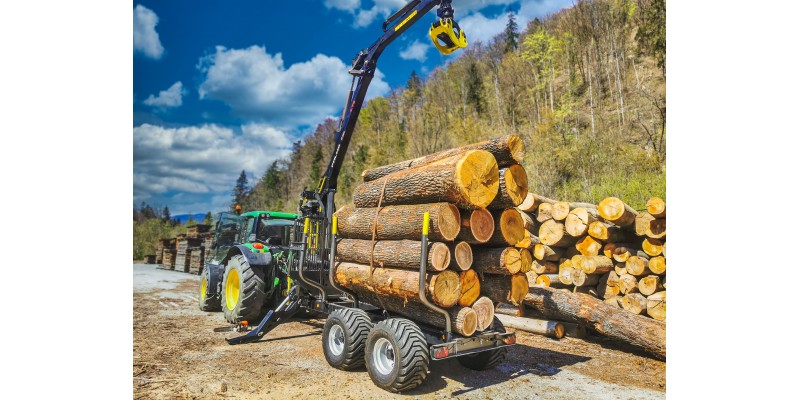 PALMS 12D 5.85 Slovenia.jpg